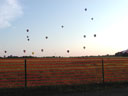 Photo:  NJ Festival Balloons