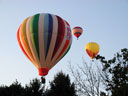 Photo:  NJ Festival Balloons
