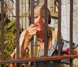 photo:  Paddy behind bars