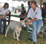photo:  4 H club ribbon winner