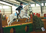 photo:  Jumping horse