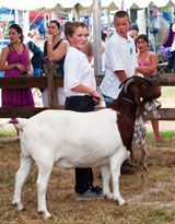 photo:  4H club winners
